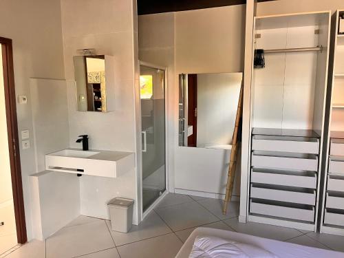 アンデルノ・レ・バンにあるvilla patio proche centre villeの洗面台と鏡のあるバスルーム