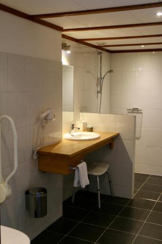 a bathroom with a sink and a mirror at Hotel Restaurant De Roosterhoeve in Roosteren
