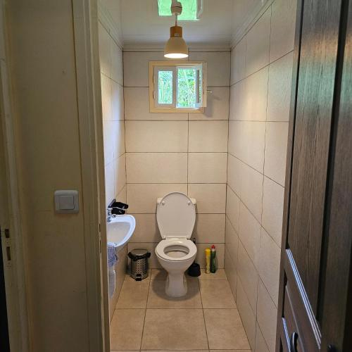 サン・タンドレにあるLes bergesのトイレと洗面台のある小さなバスルーム