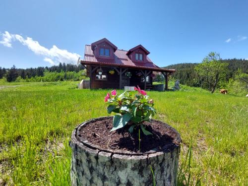 a tree stump with a plant in front of a house at Brvnara Rajkova koliba - STD Bojovići Zlatar in Nova Varoš