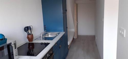 une cuisine avec des armoires bleues et un évier dans l'établissement Beau studio à 2mn de la mer et avec jardin, à Bray-Dunes
