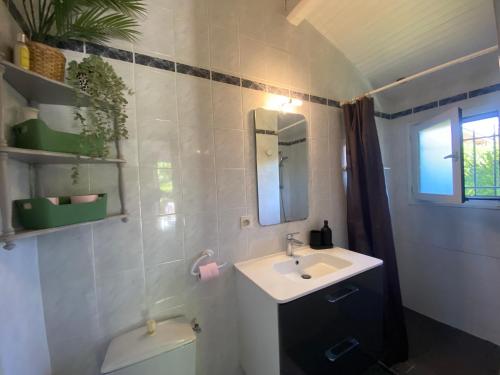 une salle de bain avec un lavabo et un miroir et des toilettes dans l'établissement Maison calme et paisible à 10 min des plages, à Seignosse