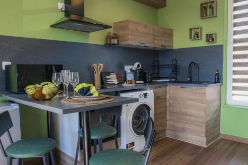 cocina con lavadora y paredes verdes en Coin de nature en centre-ville, en Troyes