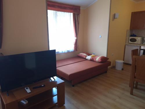 a living room with a couch and a flat screen tv at SNOW PEAK TODORKA AND VIHREN APARTAMENT /NEXT TO THE LIFT/ 7 PERSONS/ in Bansko