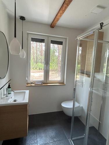 a bathroom with a shower and a sink and a toilet at Dom w lesie in Dzbądzek