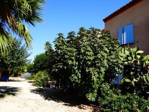a large bush next to a building next to a building at Résidence L'Orangeraie-2-Claira 66530 in Claira