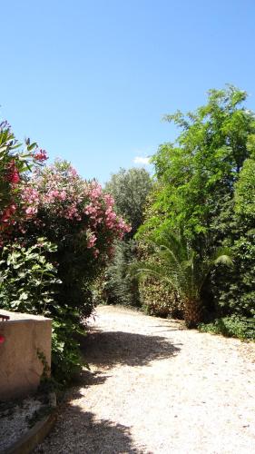 a garden with pink flowers and bushes on a path at Résidence L'Orangeraie-2-Claira 66530 in Claira