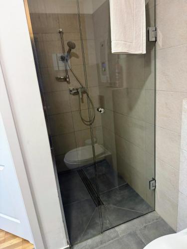 a shower stall with a toilet in a bathroom at Jaśminowy Sad in Mikołajki