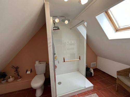 ein Bad mit einem WC und einer Dusche im Dachgeschoss in der Unterkunft Maison charmante à Bec-de-Mortagne avec jardin clôturé in Bec-de-Mortagne