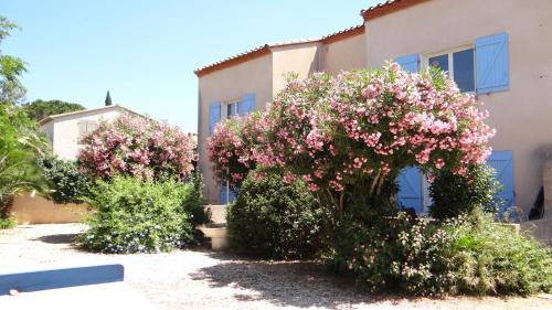 two bushes with pink flowers in front of a building at Résidence L'Orangeraie-2-Claira 66530 in Claira