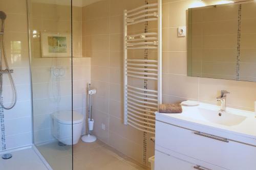 a bathroom with a shower and a sink and a toilet at Villa U rustincu in Pietrosella