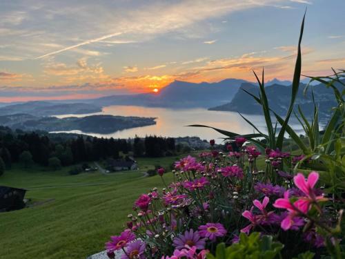 a view of the sunset from a field with flowers at LABEA-Stay - idyllisch I romantisch I View I Natur in Hergiswil