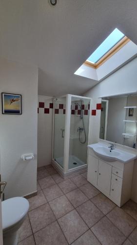 ein Badezimmer mit Waschbecken, Dusche und Toilette in der Unterkunft Villa El Còrrec in Laroque-des-Albères