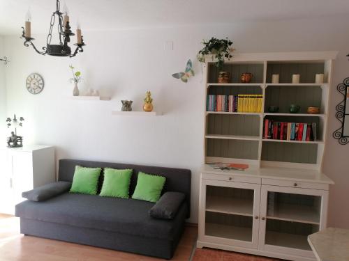 Knižnica v apartmáne