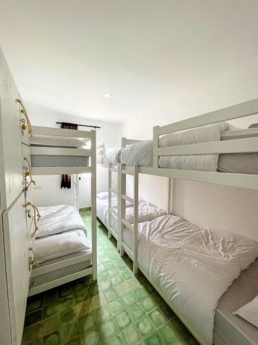 two bunk beds in a room with white walls at Taouarguit Guest House in Imsouane