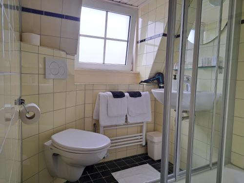 a bathroom with a toilet and a sink and a window at Hotel Het Gouden Boltje in De Koog