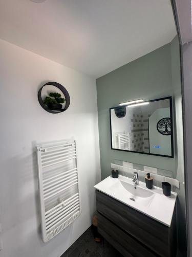 une salle de bains avec un lavabo et un miroir dans l'établissement Le cosy charmeur Climatisé avec patio, à Tours