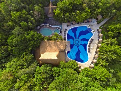 an overhead view of a swimming pool in a forest at Select Club at Sandos Caracol All Inclusive - Adults Only Area in Playa del Carmen