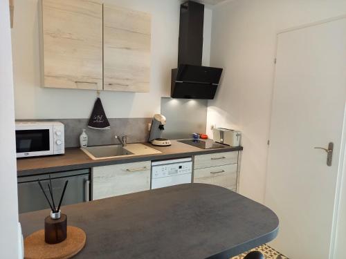 une petite cuisine avec un évier et un micro-ondes dans l'établissement Gîte studio 2 pers Le Coquelicot entre Loire et Sologne, à Saint-Claude-de-Diray