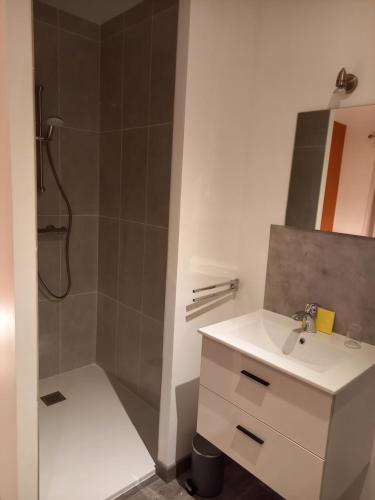 ein Badezimmer mit Dusche und Waschbecken und Dusche in der Unterkunft Gîte studio 2 pers Le Coquelicot entre Loire et Sologne in Saint-Claude-de-Diray