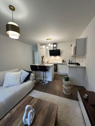 un salon avec un canapé et une cuisine dans l'établissement PARIS CDG Superbe appartement en résidence, à Villepinte