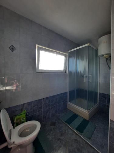 Apartman Ive