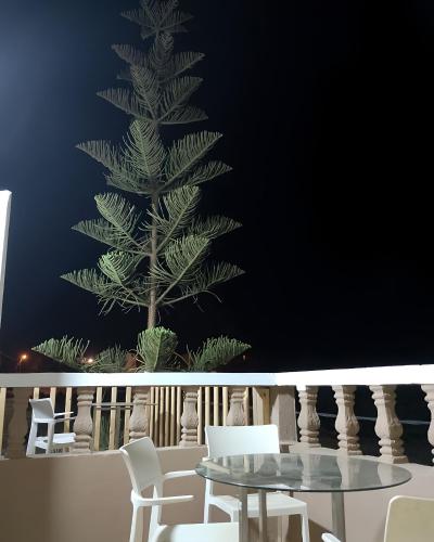 a palm tree on a balcony with a table and chairs at Tildi surf house in Imsouane