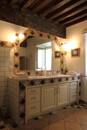 une salle de bain avec un lavabo et un grand miroir dans l'établissement La tour Bocsozel, à La Côte-Saint-André
