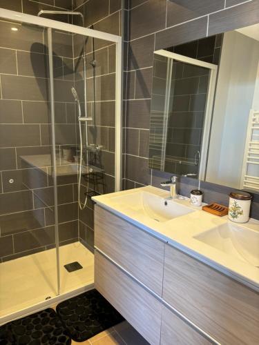 une salle de bain avec un lavabo et une douche dans l'établissement Welcome sur le Bassin, à La Teste-de-Buch