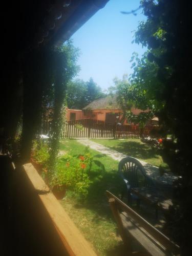 Zahrada ubytování CycloCamp & Hostel