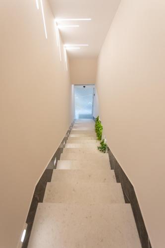 a staircase in a white walled room with plants at Nayel Hotel in Durrës