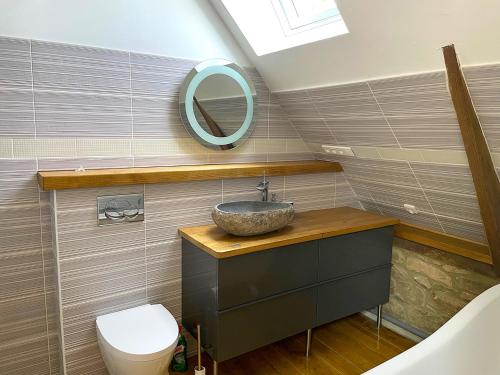 a bathroom with a sink and a toilet and a mirror at Les Gîtes de Guernegroach - La Chaumière in Langoëlan