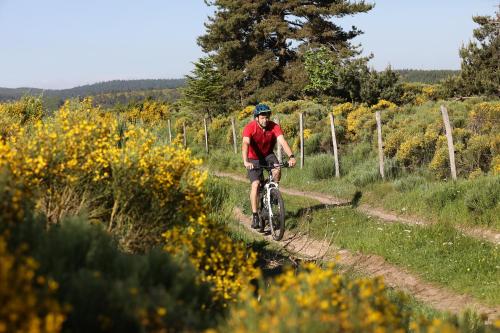 a man riding a bike down a dirt trail at Logis Hotel Spa Restaurant Le Provence in Lanarce
