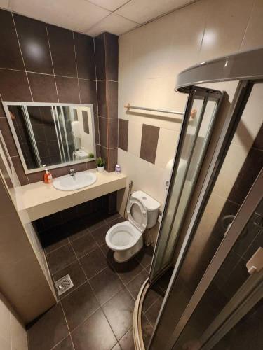 a bathroom with a toilet and a sink and a mirror at Iris Bougainvillea Cameron's in Tanah Rata