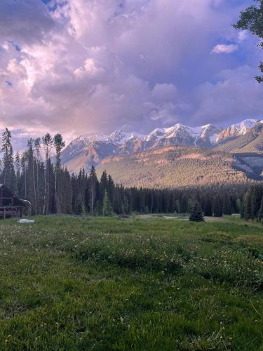a field of grass with mountains in the background at Rustic Beaverfoot Lodge Room N3 in Parson