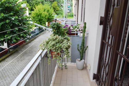 Casa Alderotti photo 35
