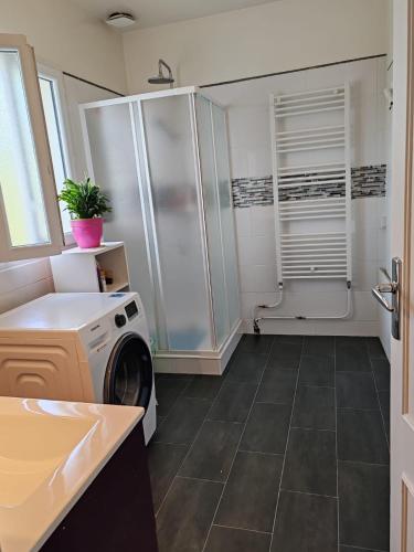 La salle de bains est pourvue d'un lave-linge et d'une douche. dans l'établissement chambre chez habitant 2, à Carbon-Blanc