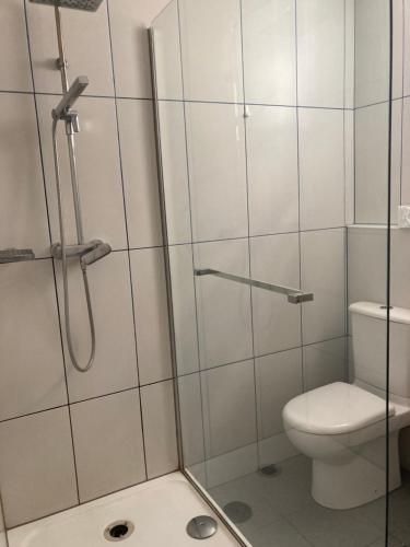 une salle de bain avec douche et toilettes dans l'établissement L'Appartement Bleu, à Nice