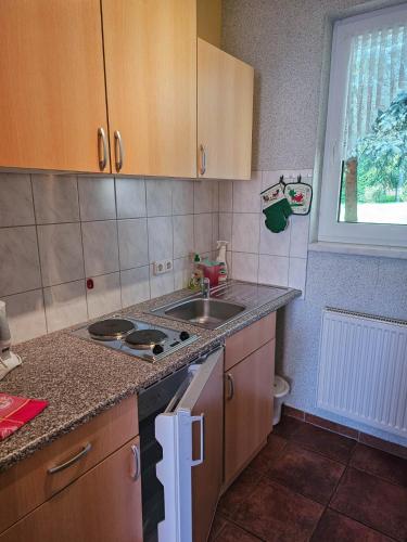 een keuken met een spoelbak en een aanrechtblad bij Pension Achterland in Mellenthin