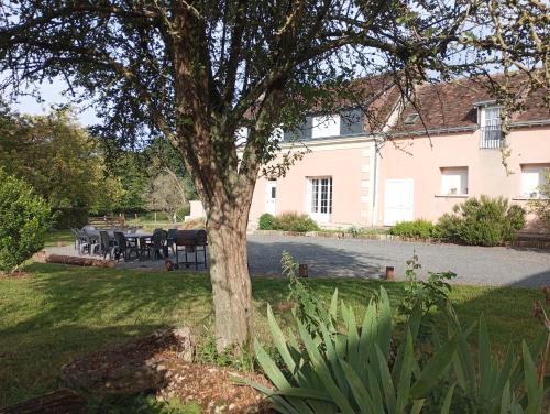 a tree in the yard of a house at Gîte du Coudray in Neuillé-Pont-Pierre