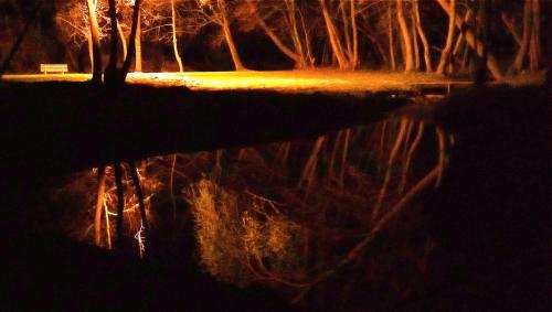 a night view of a pond with trees and lights at La Regina del Bosco in Rivignano
