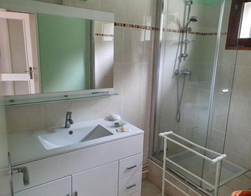 une salle de bain avec un lavabo et une douche dans l'établissement Grand Appartement exposé plein sud, à Bolquère-Pyrénées 2000