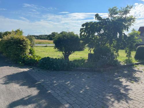 a garden with two trees and a grass field at VS-Homestay in Sakskøbing