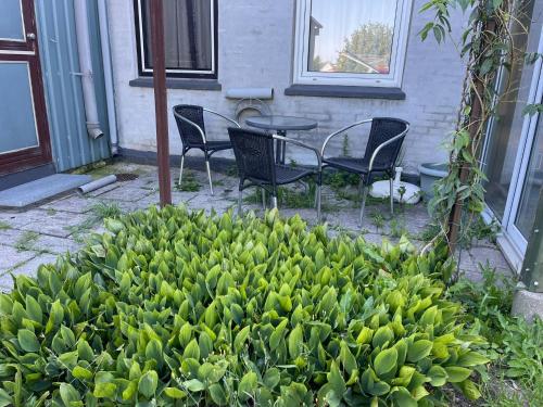 a bunch of bananas in front of a table and chairs at VS-Homestay in Sakskøbing