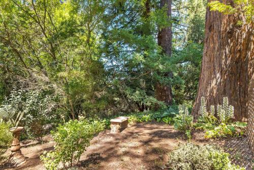 Κήπος έξω από το Lovely Tudor Home With Pool & Spa Near Russian River