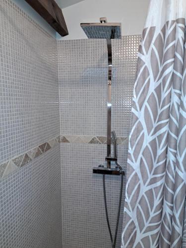 a shower in a bathroom with a shower curtain at Le cabanon in Fuveau