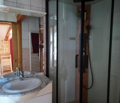 a bathroom with a sink and a shower at Le charme montagnard in Barcelonnette