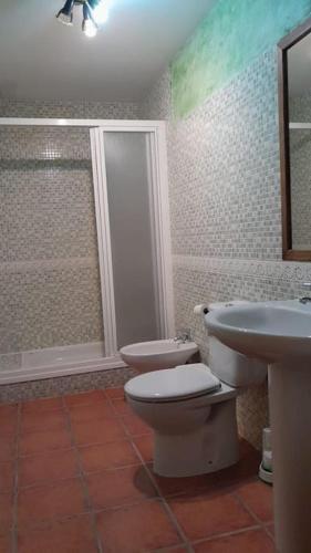 a bathroom with a toilet and a sink at Casas Rurales Mi Reja B in Santa María de Riaza