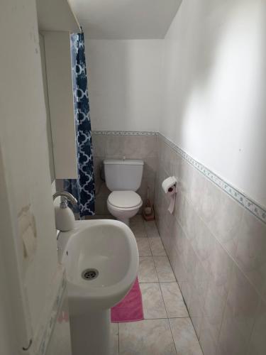 une petite salle de bain avec toilettes et lavabo dans l'établissement Jolie Appartement maison très bien placé, à Épinay-sur-Seine
