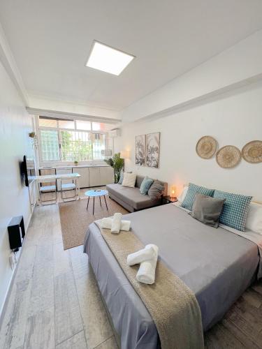 Cozy Studio with Pool Acuario